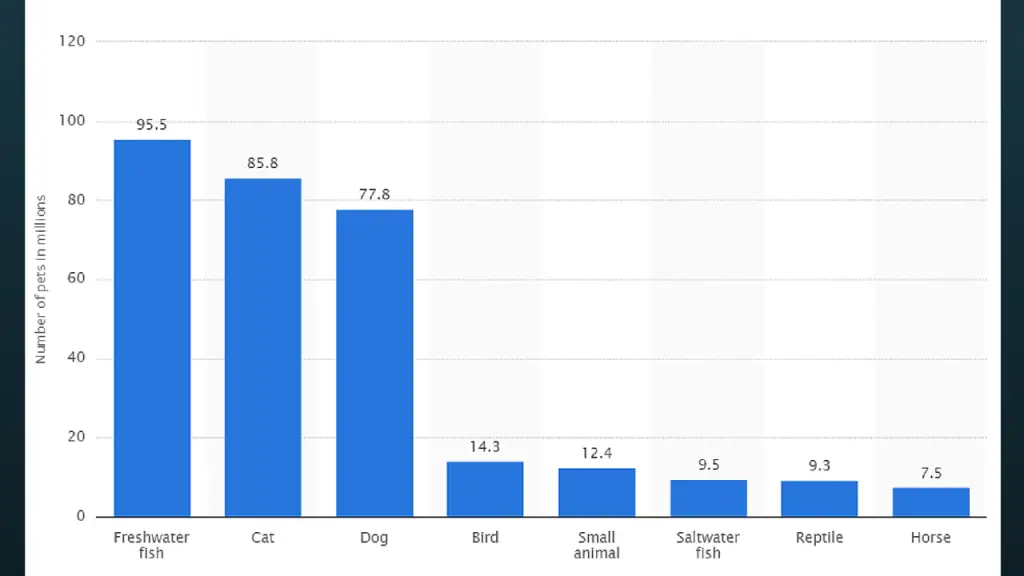 pets by popularity