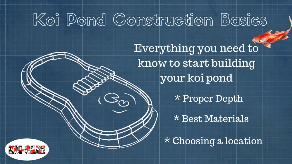 pond koi construction basics building location section