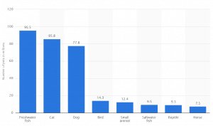 most popular pets 