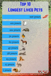 Top 10 Longest Lived Pets