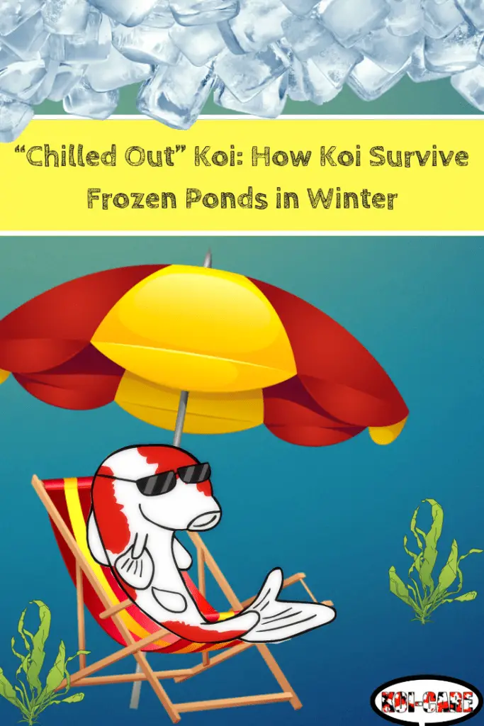 How Koi Survive Frozen Ponds in Winter