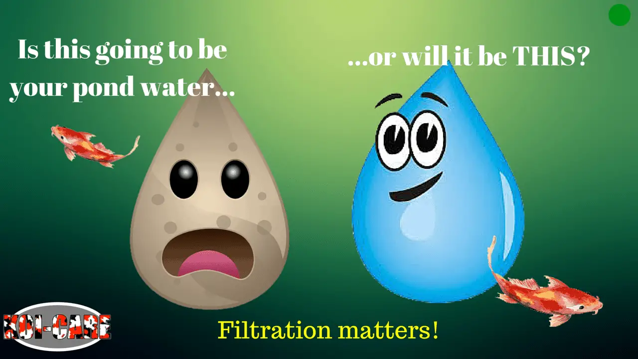 Pond Filtration: the basics of koi pond filtration
