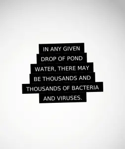 whats in a drop of pond water