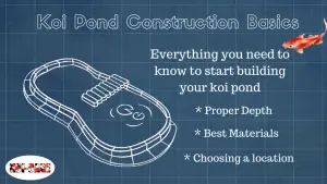 Koi Pond Construction Basics