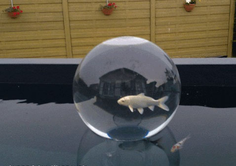 koi observation sphere