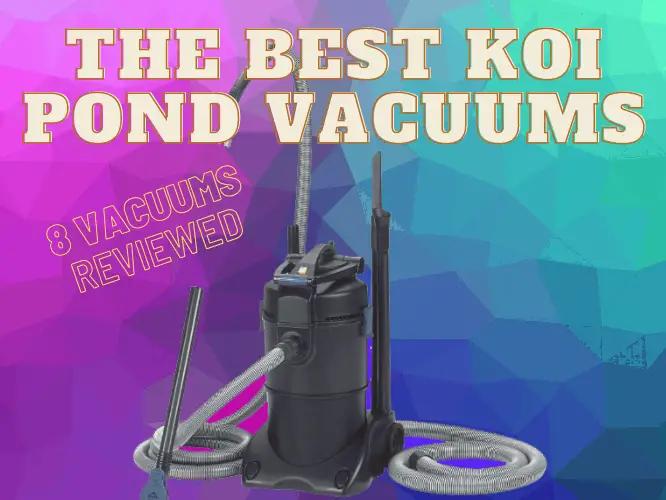 The Best Koi Pond Vacuums (8 Units Compared for 2020)